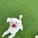 은계유치원 이미지