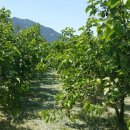 해맑은2농장 이미지