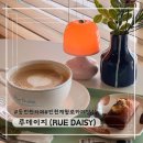 루데이지