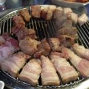 제주명돼지 이미지