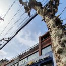 덕산이편한치과의원 이미지