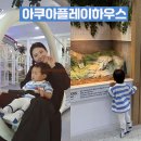 아쿠아동물병원 | 명지 키즈카페 아쿠아플레이하우스 요금 시설 찐 이용후기