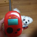 미니스톱 신사제일점 | 후쿠오카 소도시 여행 우키하 이나리신사 찾아가는 길 + 신신라멘 텐진 파르코점 후기