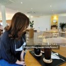 옐로우송버드 이미지