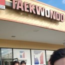 영 챔피언 태권도 이미지