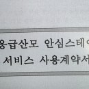 품안애 스테이 이미지