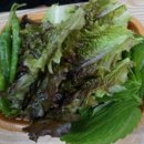 산호농장 이미지