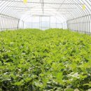 늘찬농장 이미지