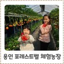 이전농장 | 용인 포레스트벨 동물체험 딸기체험농장 아이랑 가볼 만한 곳 후기