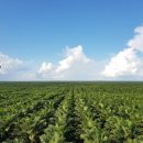 유상농장 이미지