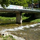 자연(애)장수 이미지