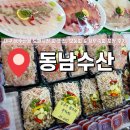 동남수산 | 대구농수산물도매시장회맛집, 모둠 회 &amp; 새우 숙회 포장 후기_ 동남수산