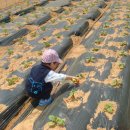 태기농장 이미지