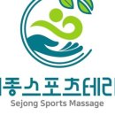 세종스포츠테라피