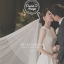 더블유브릿지