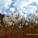 바우길 15구간 이미지