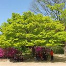 송학행정사사무소 이미지