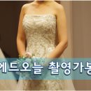 네이쳐에드