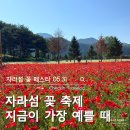 31140-14-42-8 | 자라섬 꽃축제 5월 31일 후기｜양귀비·안개꽃·수국 개화상황, 입장료·주차 총정리