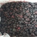 자양농장 이미지