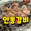 안동갈비 | 포항 북구한우맛집 안동갈비 재방문후기