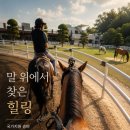 <내돈내산>3만 5천 원으로 시작한 힐링승마! 럭셔리한 서울승마클럽에서 배우는 특별한 승마체험 10회 후기
