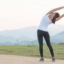 몸튼튼 근력 스트레칭 이미지