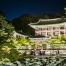 달빛 이미지