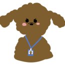 애니펫동물병원 이미지