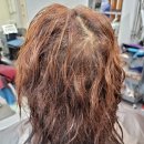 르네상스 미용실 이미지