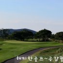 아덴힐(대중형 18홀) | 골프장 도장 깨기3탄 (타미우스+아덴힐)