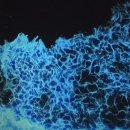 샤이어호텔 이미지