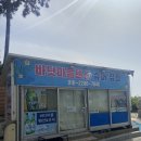 춘장대솔내음캠핑장 이미지