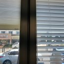 큰곰약국 이미지