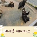 파크베어 | 세종 베어파크, 외지인의 솔직 후기