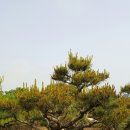 잉꼬농장 이미지