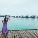 비타메인 이미지