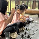계룡산유아숲체험원 이미지
