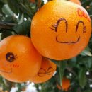 한라앤탐 이미지