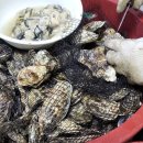 내고향포차 - 동두천시 | 여수 회포장 맛집 재근호V회포장 신선한 활어회 6시 내고향 방송 후기