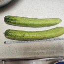 가우농장 이미지