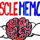 머슬메모리 이미지