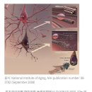두루약품(주) 이미지