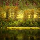 요가(오후) 이미지