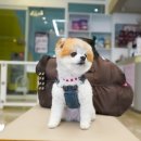다오동물병원 이미지