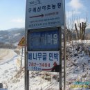 배나무골민박 Daum카페