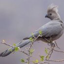 신현대마트 이미지