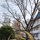(주)수풀림