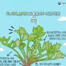 풀인 네이버블로그