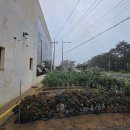 동호해변 이미지